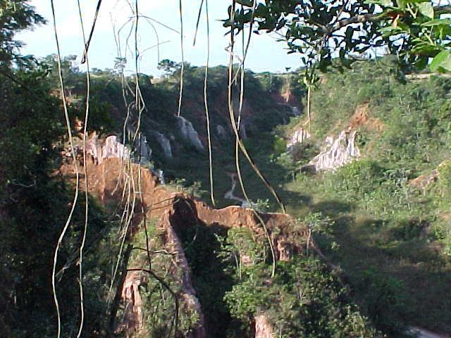 Pousada Fazenda Buracao Mococa Exterior foto